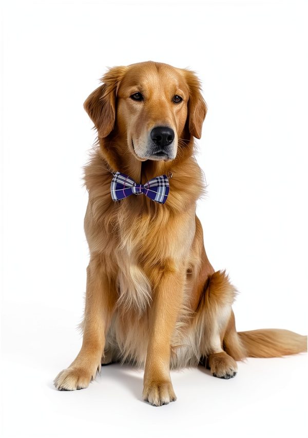 PET SHOW Dog Bow Ties Polyester Pet Collar Charms Unisex-6