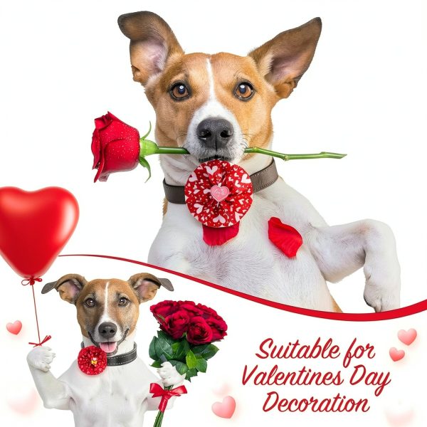 Sanwuta Valentines Dog Collar Charms Heart Design Adjustable-1