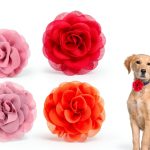 InnoHHustle Dog Collar Charms Chiffon Flower Accessories-0