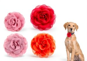 InnoHHustle Dog Collar Charms Chiffon Flower Accessories-0