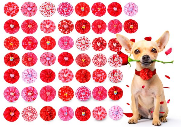 Sanwuta Valentines Dog Collar Charms Heart Design Adjustable-0