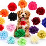 Catcan Dog Collar Flower Charm Soft Chiffon Pet Accessory-0