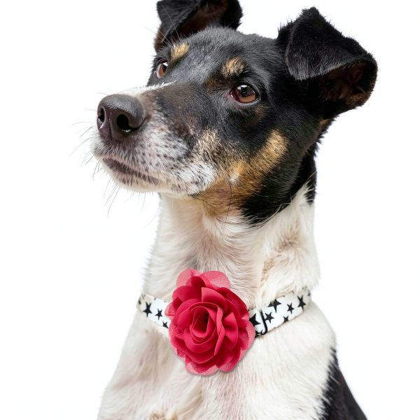 InnoHHustle Dog Collar Charms Chiffon Flower Accessories-2