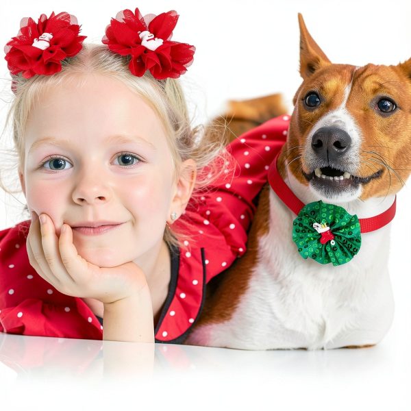 Frienda Dog Collar Charms Chiffon Sequins Pet Grooming-4