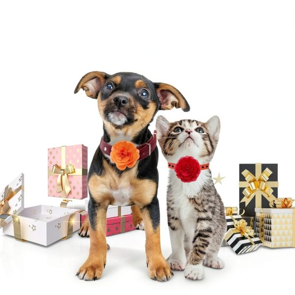 Catcan Dog Collar Flower Charm Soft Chiffon Pet Accessory-6