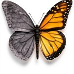 Alzheimer's Care Guide Unlimited Concepts eBook-0
